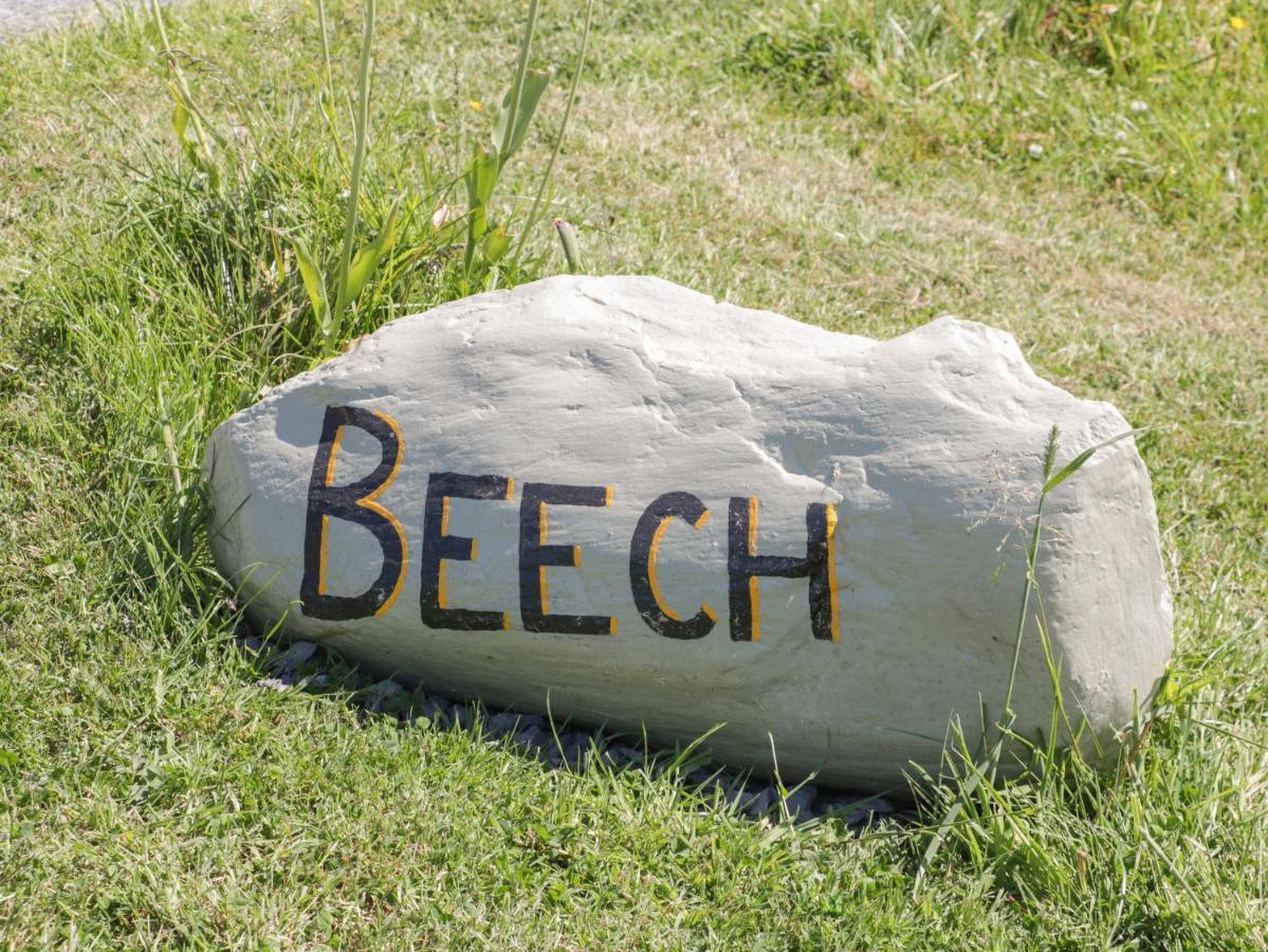 Beech Villa Ulverston Eksteriør bilde