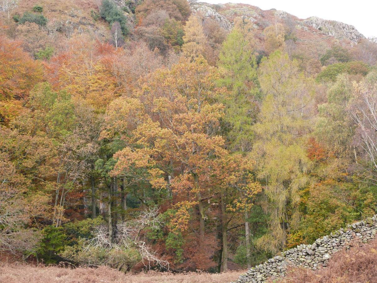 Beech Villa Ulverston Eksteriør bilde