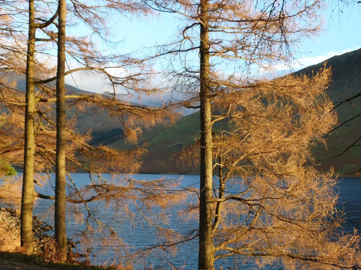 Beech Villa Ulverston Eksteriør bilde